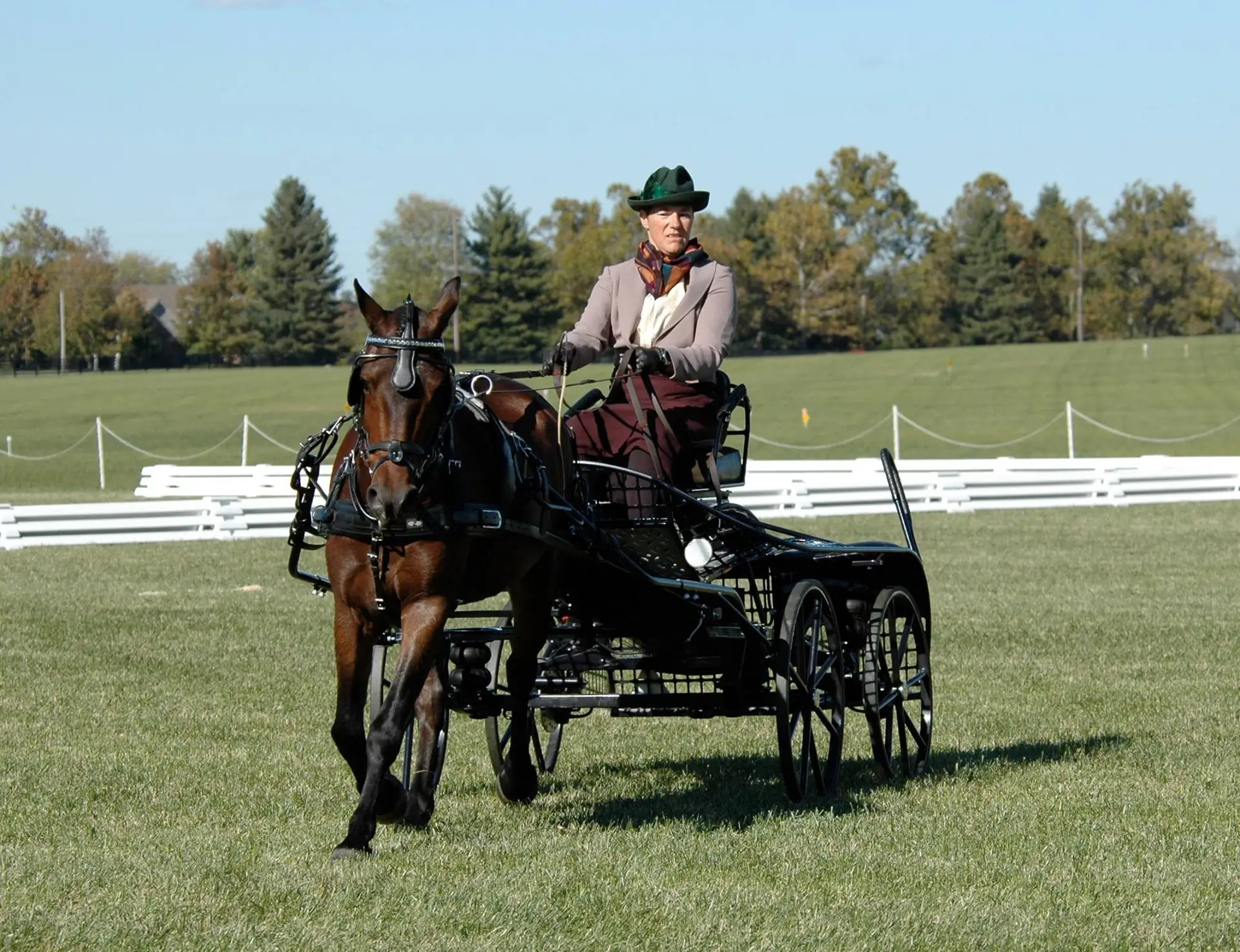 HUB Club Carriage Clinic, June 13-14