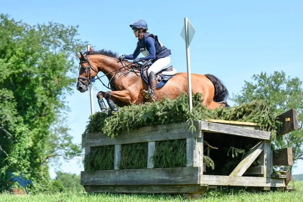 Allison Springer Eventing Clinic, July 1 & 2